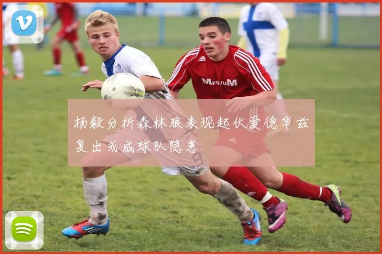 杨毅分析森林狼表现起伏爱德华兹复出或成球队隐患
